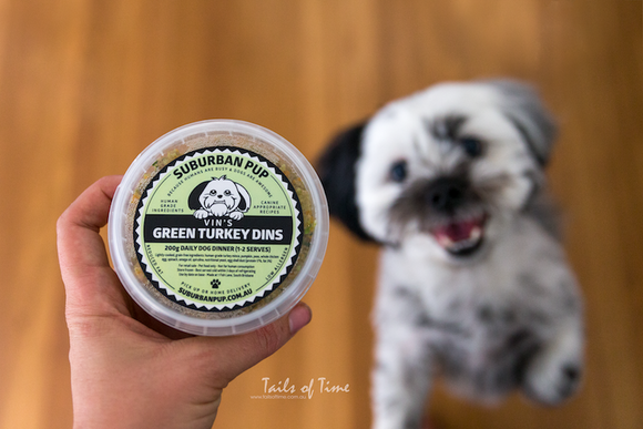 A letter to my seven-year-old pup