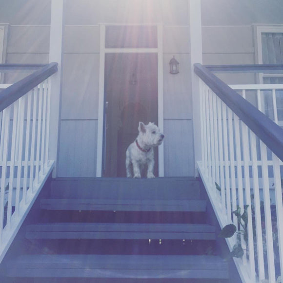 Where longevity meets wellness