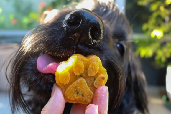 3 chilled feeding enrichment ideas
