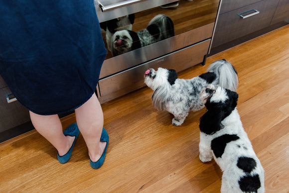 4 new pup food choices