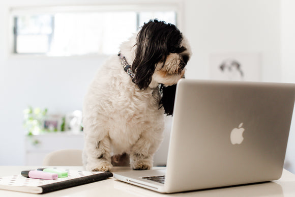 5 REALISTIC RESOLUTIONS