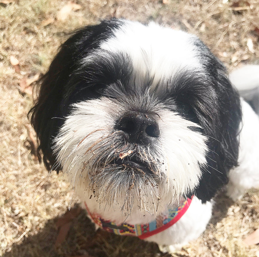 Can we redefine ‘busy’?