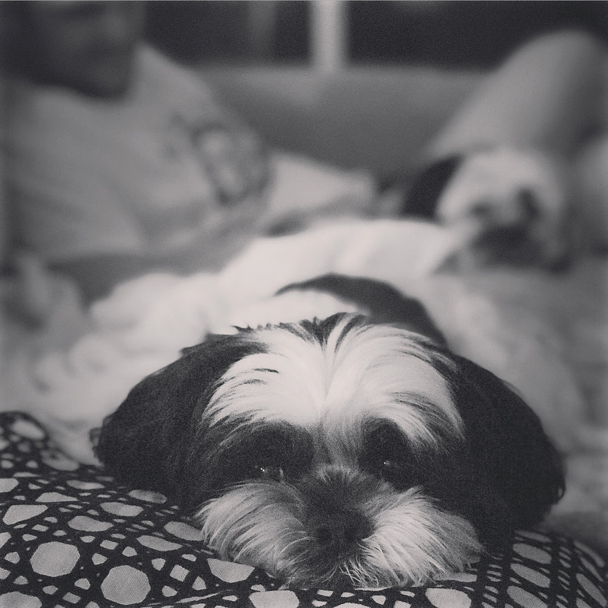 6 FREEZER TIPS FOR A SUBURBAN SUMMER