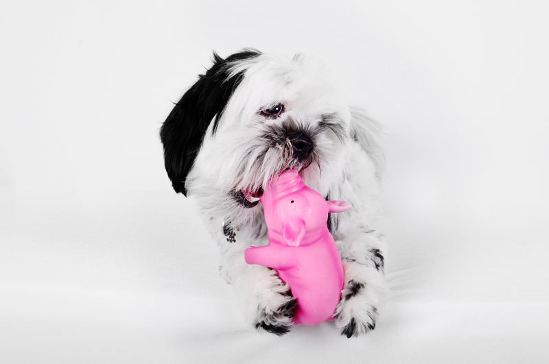 Meal prep made convenient (and canine-appropriate!)