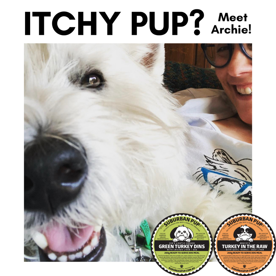 Itchy pup? Meet Archie!