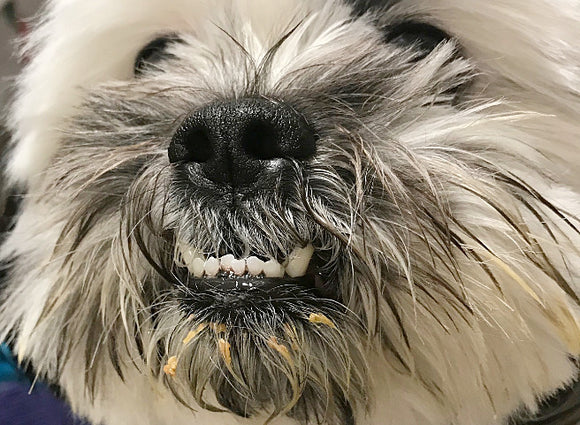 Three human-grade considerations